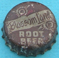 Blossom Land root beer