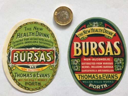 Bursas Extract of Burdock, Dandelion & Sarsaparill root beer