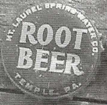 Mt. Laurel root beer